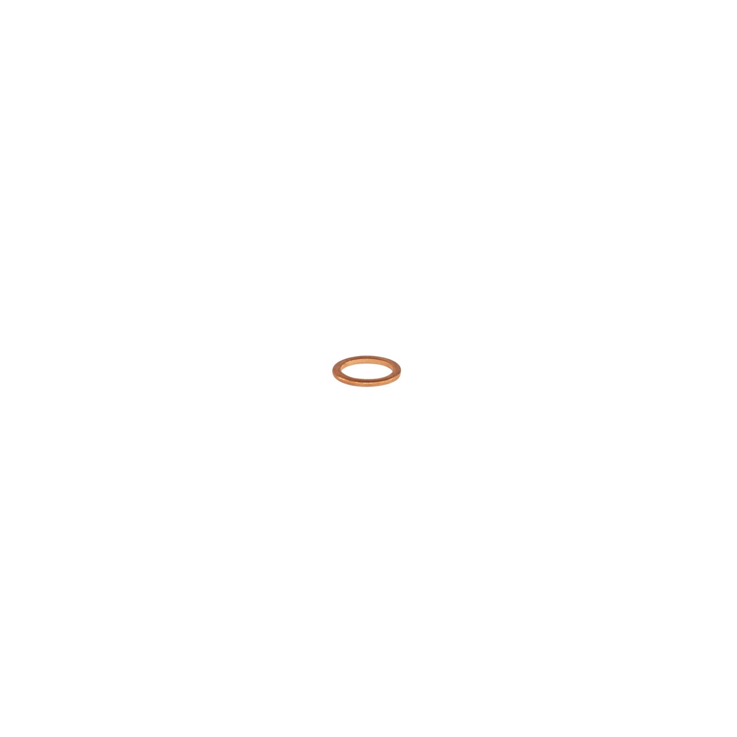 GRACO Gasket (Part No. 167730)