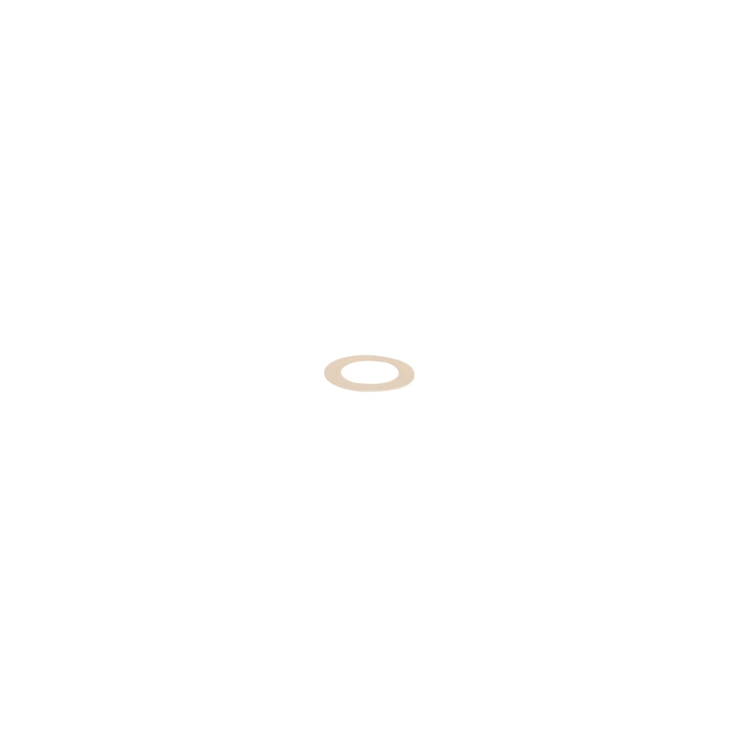 GRACO Seat Gasket for Stainless Steel, Waterbase Compatible Fluid Pressure Regulators (Part No. 171860)