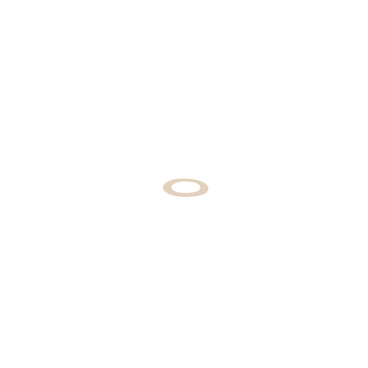 GRACO Seat Gasket for Stainless Steel, Waterbase Compatible Fluid Pressure Regulators (Part No. 171860)