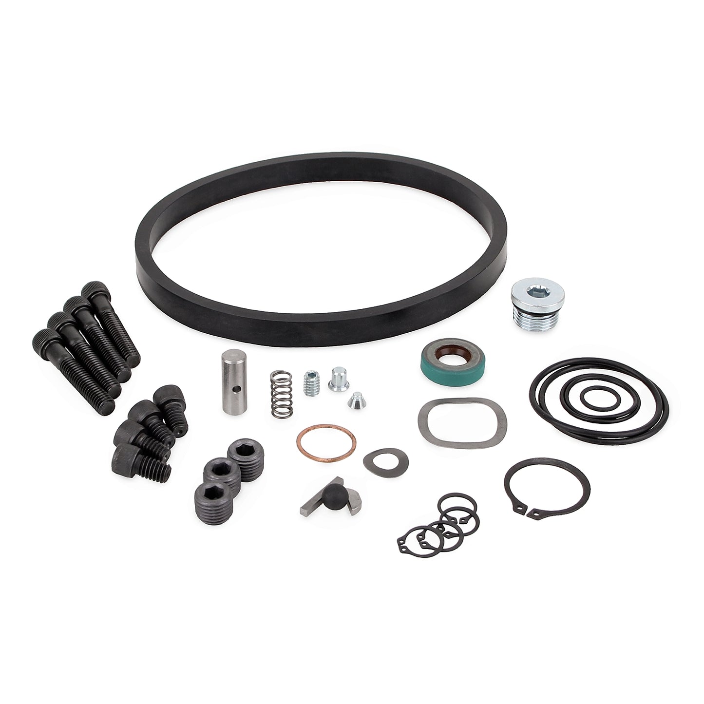 GRACO Lube Master® Seal Kit (Part No. 563921)